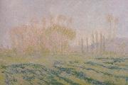 Claude Monet Meadow with Poplars oil